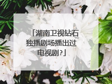 湖南卫视钻石独播剧场播出过电视剧?