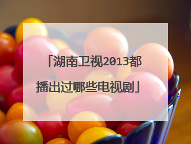 湖南卫视2013都播出过哪些电视剧