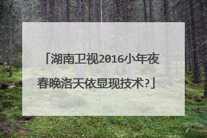 湖南卫视2016小年夜春晚洛天依显现技术?
