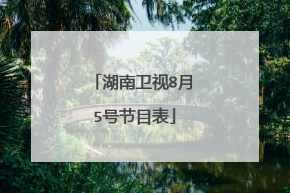 湖南卫视8月5号节目表