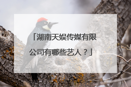 湖南天娱传媒有限公司有哪些艺人?
