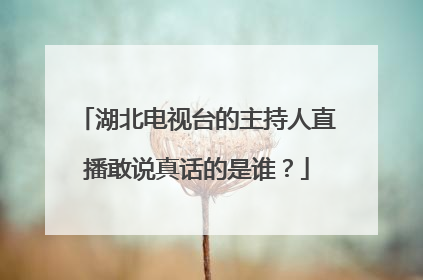 湖北电视台的主持人直播敢说真话的是谁？