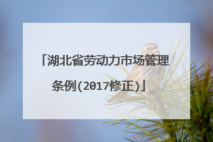 湖北省劳动力市场管理条例(2017修正)