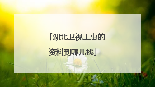 湖北卫视王惠的资料到哪儿找