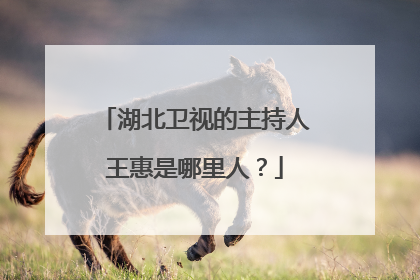 湖北卫视的主持人王惠是哪里人？