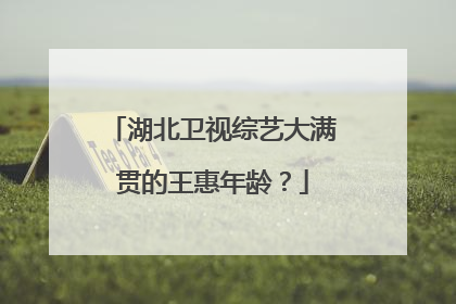 湖北卫视综艺大满贯的王惠年龄？