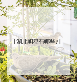 湖北明星有哪些?