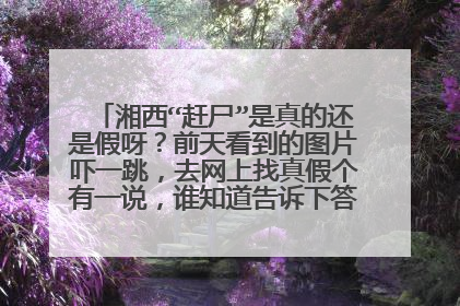 湘西“赶尸”是真的还是假呀？前天看到的图片吓一跳，去网上找真假个有一说，谁知道告诉下答案（高悬赏）