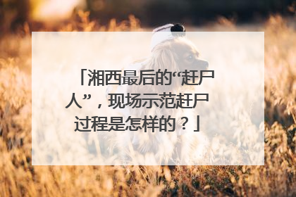 湘西最后的“赶尸人”，现场示范赶尸过程是怎样的？