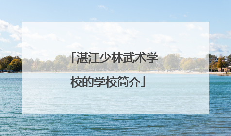 湛江少林武术学校的学校简介
