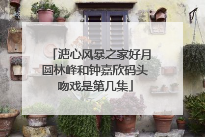 溏心风暴之家好月圆林峰和钟嘉欣码头吻戏是第几集