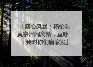 溏心风暴:杨怡和黄宗泽闹离婚,直呼:我对你们唐家没