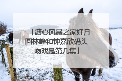 溏心风暴之家好月圆林峰和钟嘉欣码头吻戏是第几集