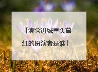 满仓进城里头葛红的扮演者是谁