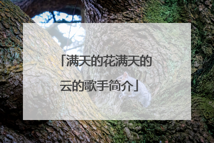 满天的花满天的云的歌手简介