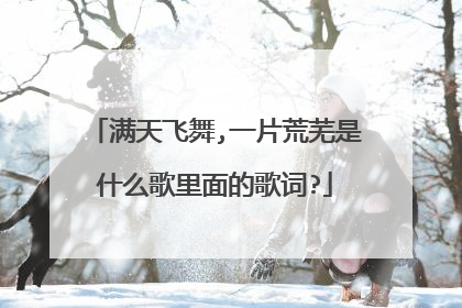 满天飞舞,一片荒芜是什么歌里面的歌词?