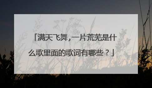满天飞舞,一片荒芜是什么歌里面的歌词有哪些?