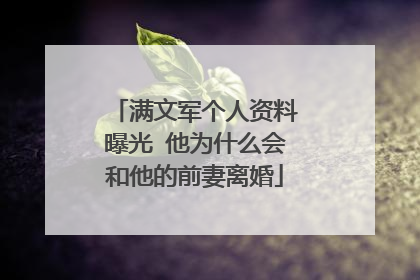 满文军个人资料曝光 他为什么会和他的前妻离婚