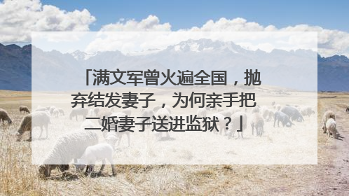 满文军曾火遍全国,抛弃结发妻子,为何亲手把二婚妻子送进监狱?