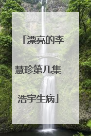 漂亮的李慧珍第几集浩宇生病