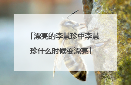 漂亮的李慧珍中李慧珍什么时候变漂亮