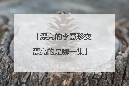 漂亮的李慧珍变漂亮的是哪一集