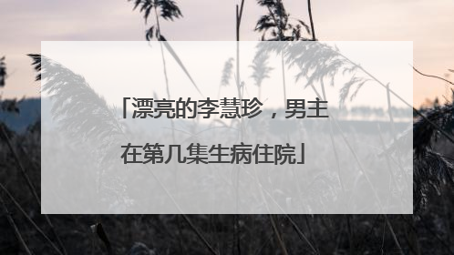 漂亮的李慧珍，男主在第几集生病住院