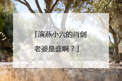 演燕小六的肖剑老婆是谁啊？