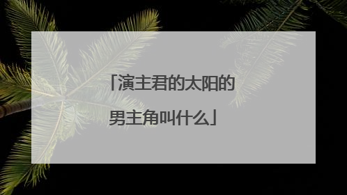 演主君的太阳的男主角叫什么