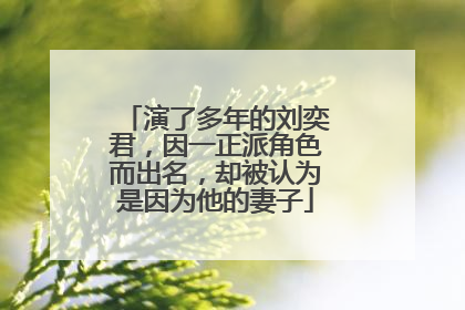 演了多年的刘奕君,因一正派角色而出名,却被认为是因为他的妻子
