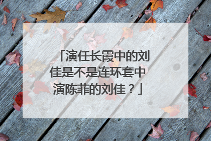 演任长霞中的刘佳是不是连环套中演陈菲的刘佳?
