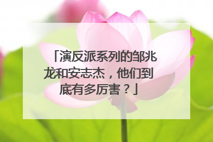 演反派系列的邹兆龙和安志杰，他们到底有多厉害？