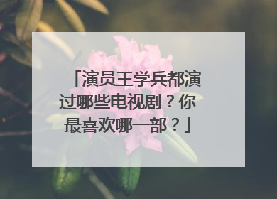 演员王学兵都演过哪些电视剧？你最喜欢哪一部？