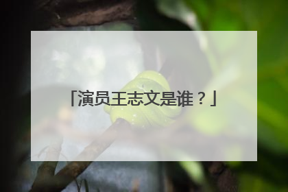 演员王志文是谁?