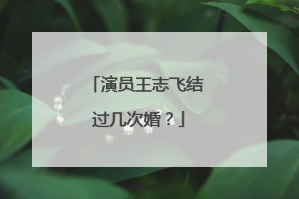 演员王志飞结过几次婚？