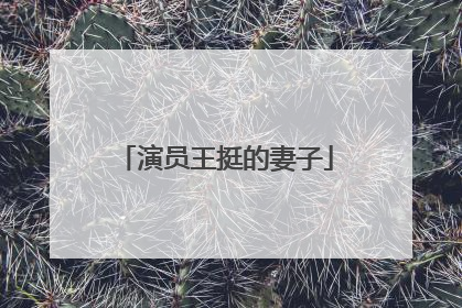 演员王挺的妻子