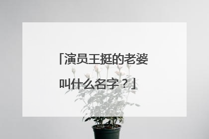演员王挺的老婆叫什么名字？