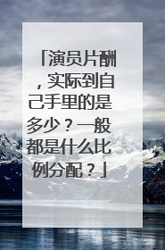 演员片酬，实际到自己手里的是多少？一般都是什么比例分配？