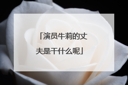 演员牛莉的丈夫是干什么呢