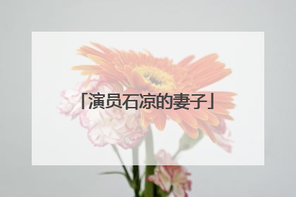 演员石凉的妻子