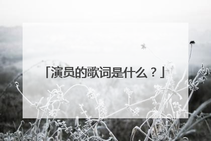 演员的歌词是什么？