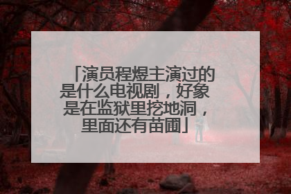 演员程煜主演过的是什么电视剧,好象是在监狱里挖地洞,里面还有苗圃