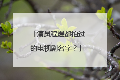 演员程煜都拍过的电视剧名字?
