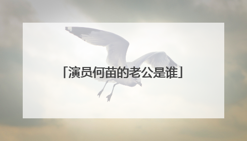 演员何苗的老公是谁