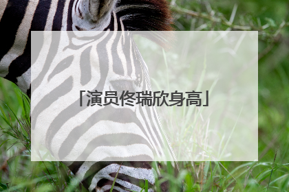 演员佟瑞欣身高