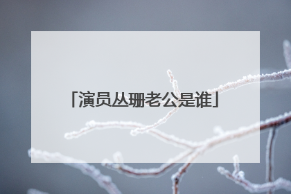 演员丛珊老公是谁