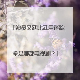 演员又廷比武用迷踪拳是哪部电视剧?