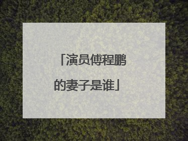 演员傅程鹏的妻子是谁