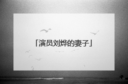 演员刘烨的妻子