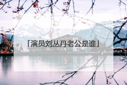 演员刘丛丹老公是谁